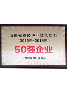 山東省橡膠行業綜合實力50強